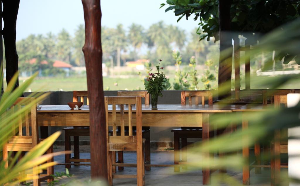 East Surf Cabana Arugam Bay Exterior foto
